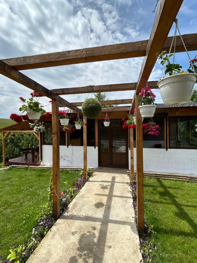 Casa Eden Fit Villa Faget  ภายนอก รูปภาพ